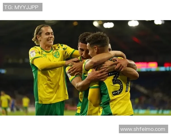 诺维奇强势领跑联赛赫尔城能否逆袭争夺胜利